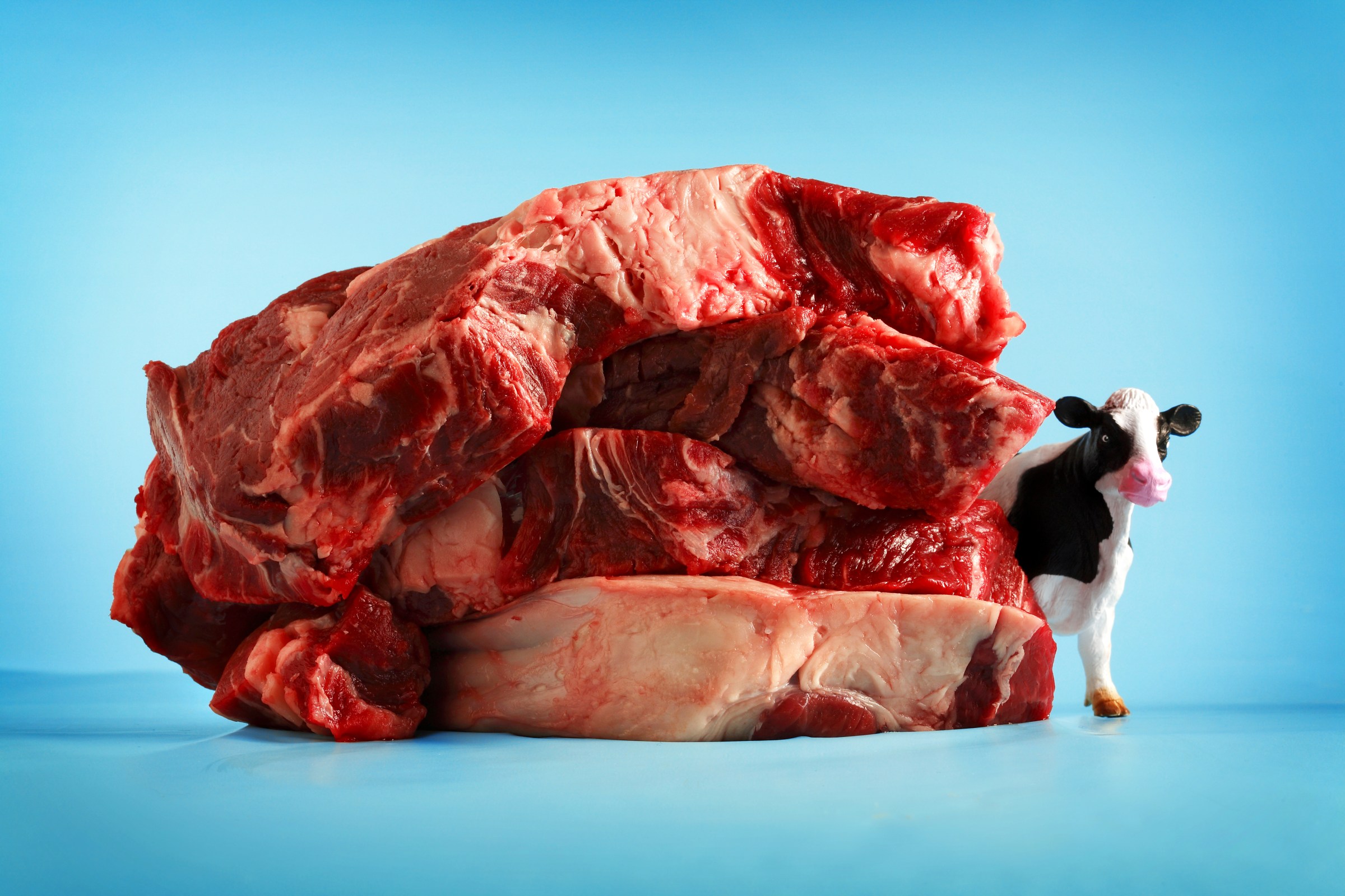 What the MAHA movement gets wrong about meat