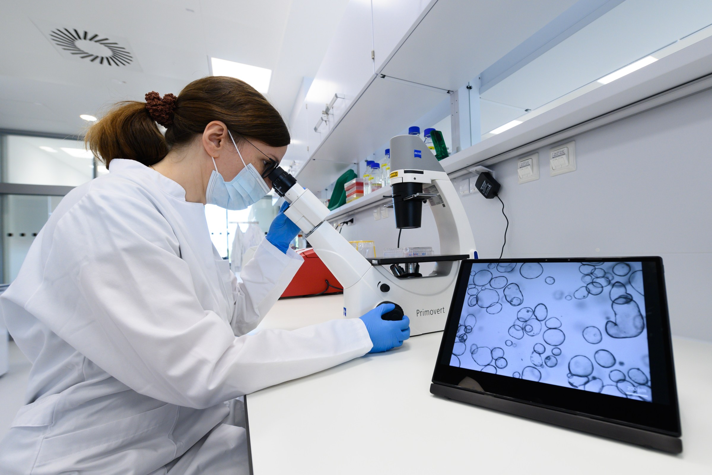 Why do so many young people suddenly have cancer?