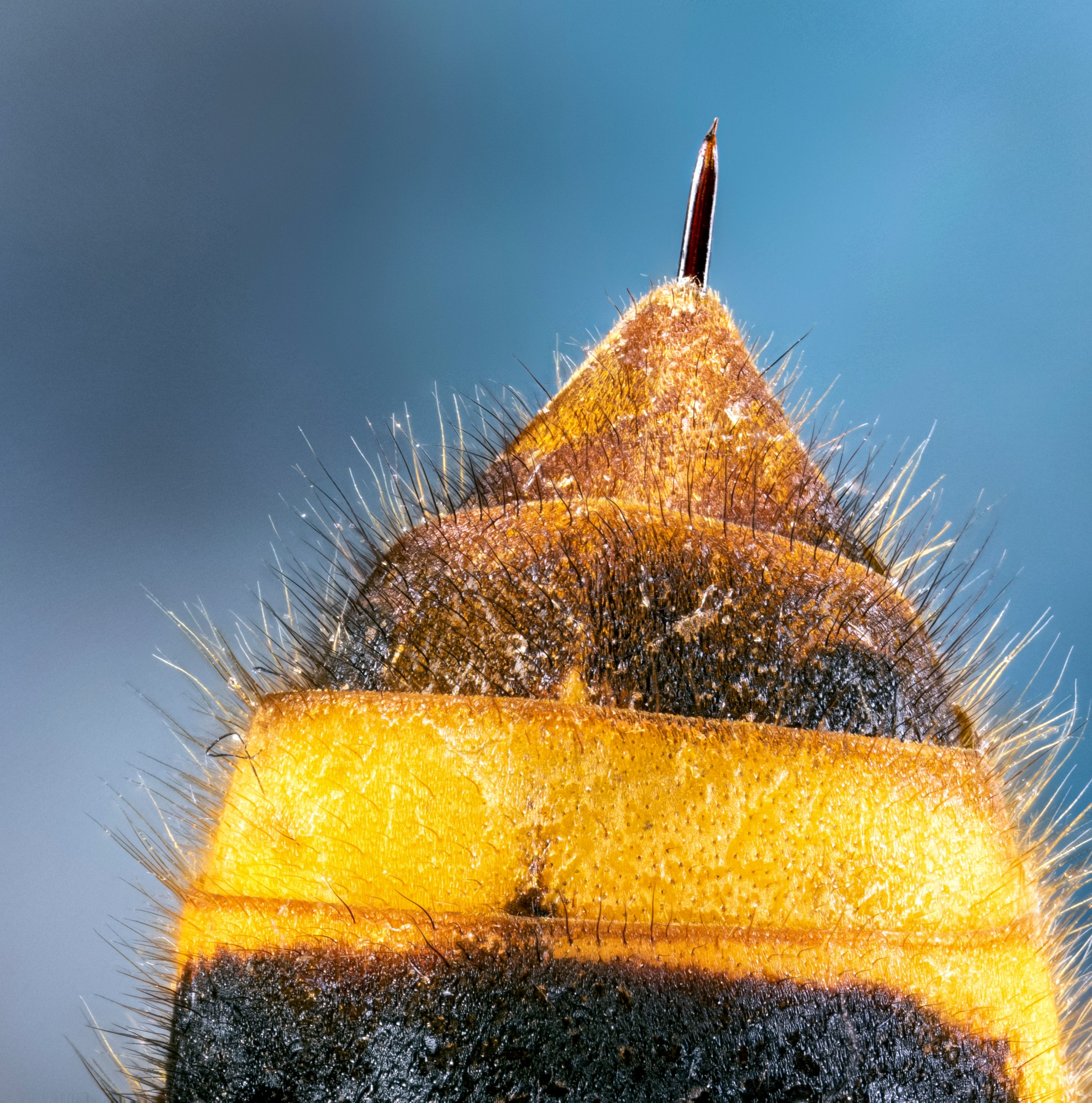 The freaky part of allergy season that no one warned you about