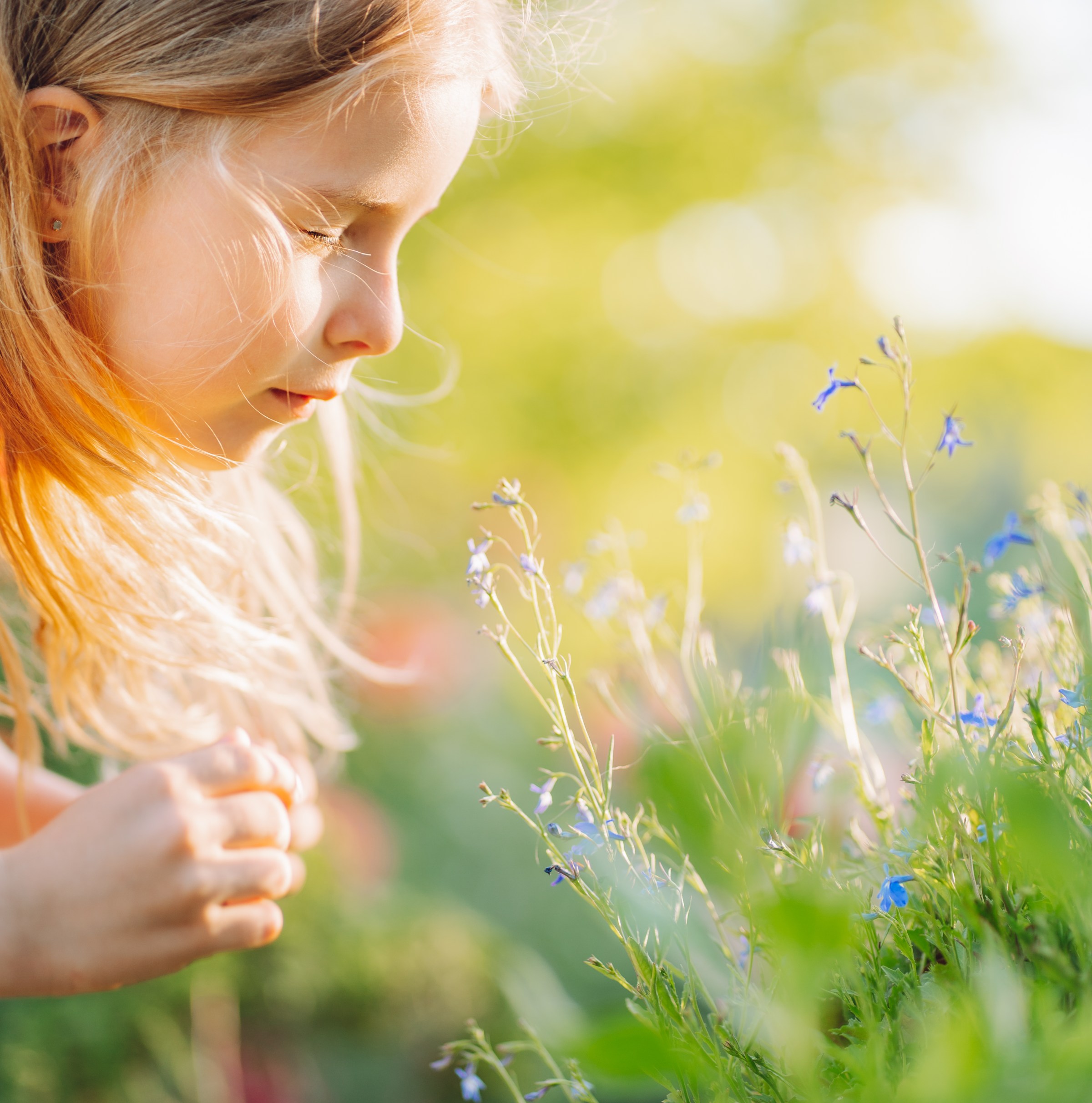 We’re on the verge of a universal allergy cure