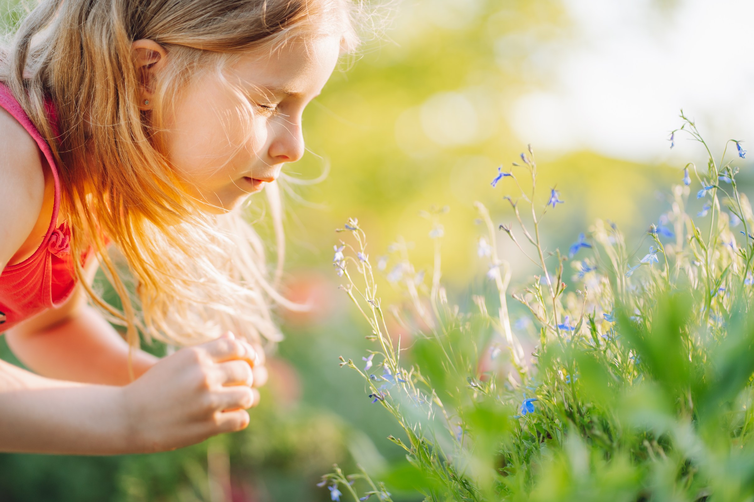 We’re on the verge of a universal allergy cure