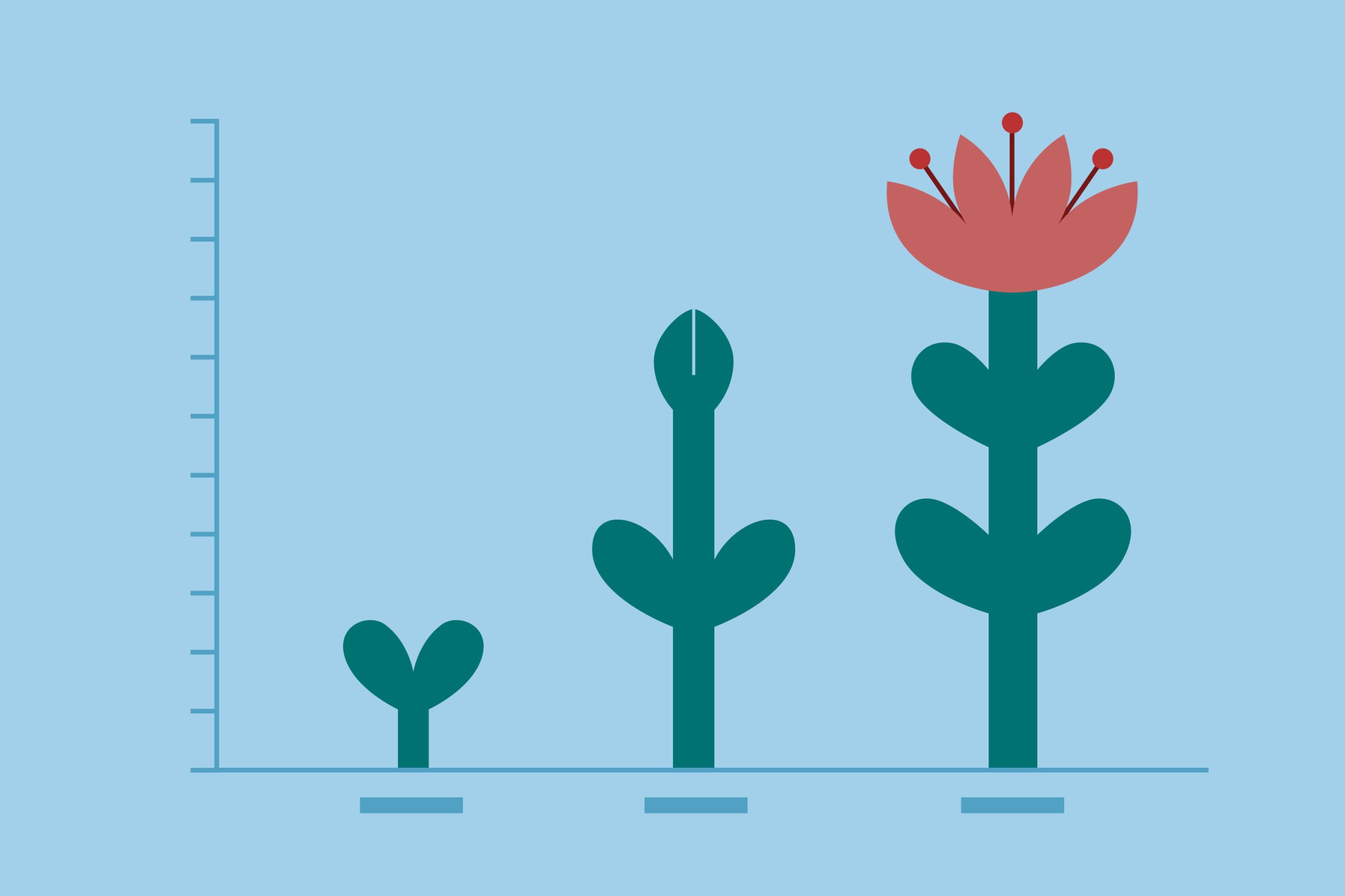 Get out of your chair every hour and 11 other ways to improve your life in 2025