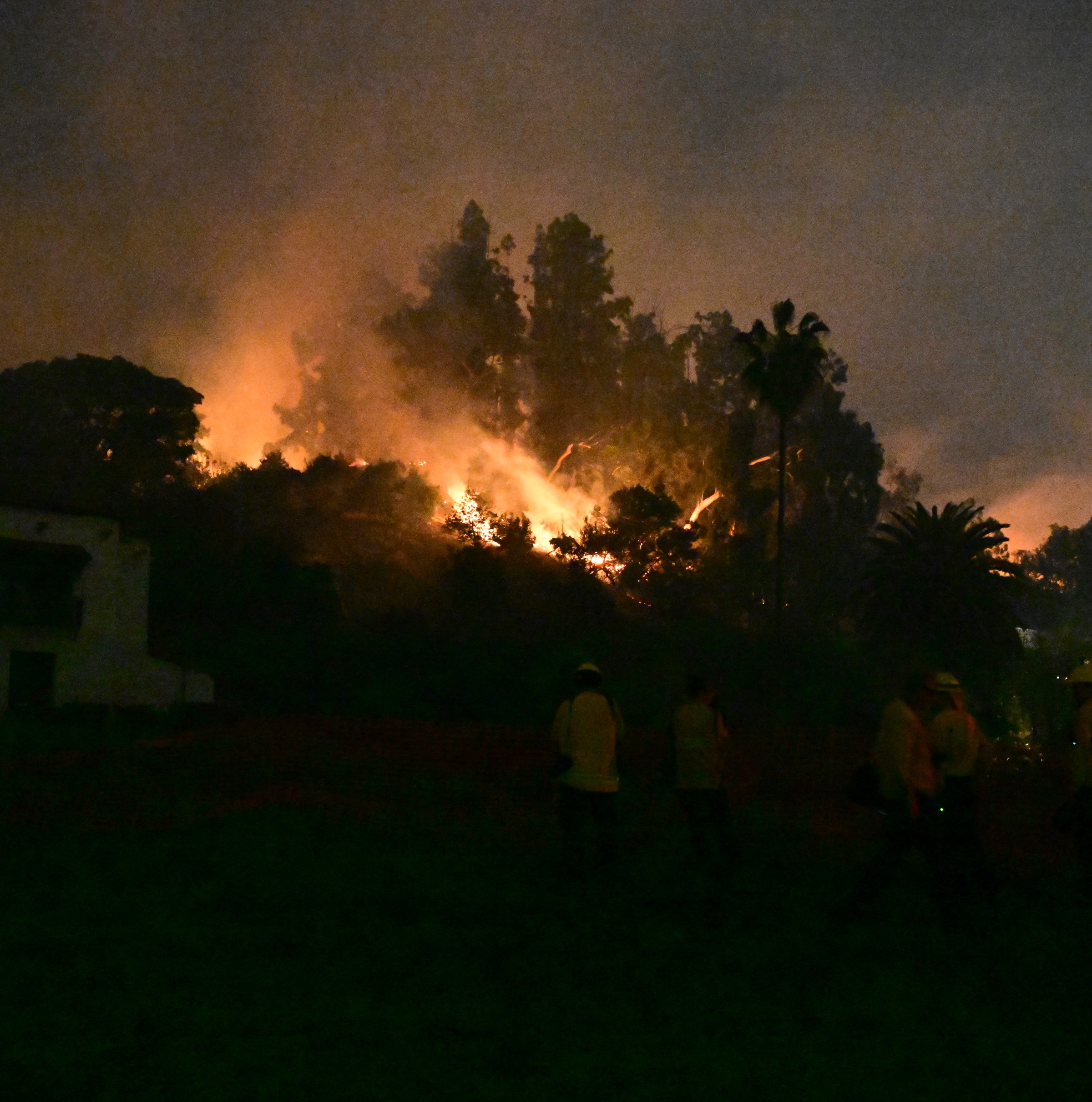 What happens when a wildfire reaches a city?