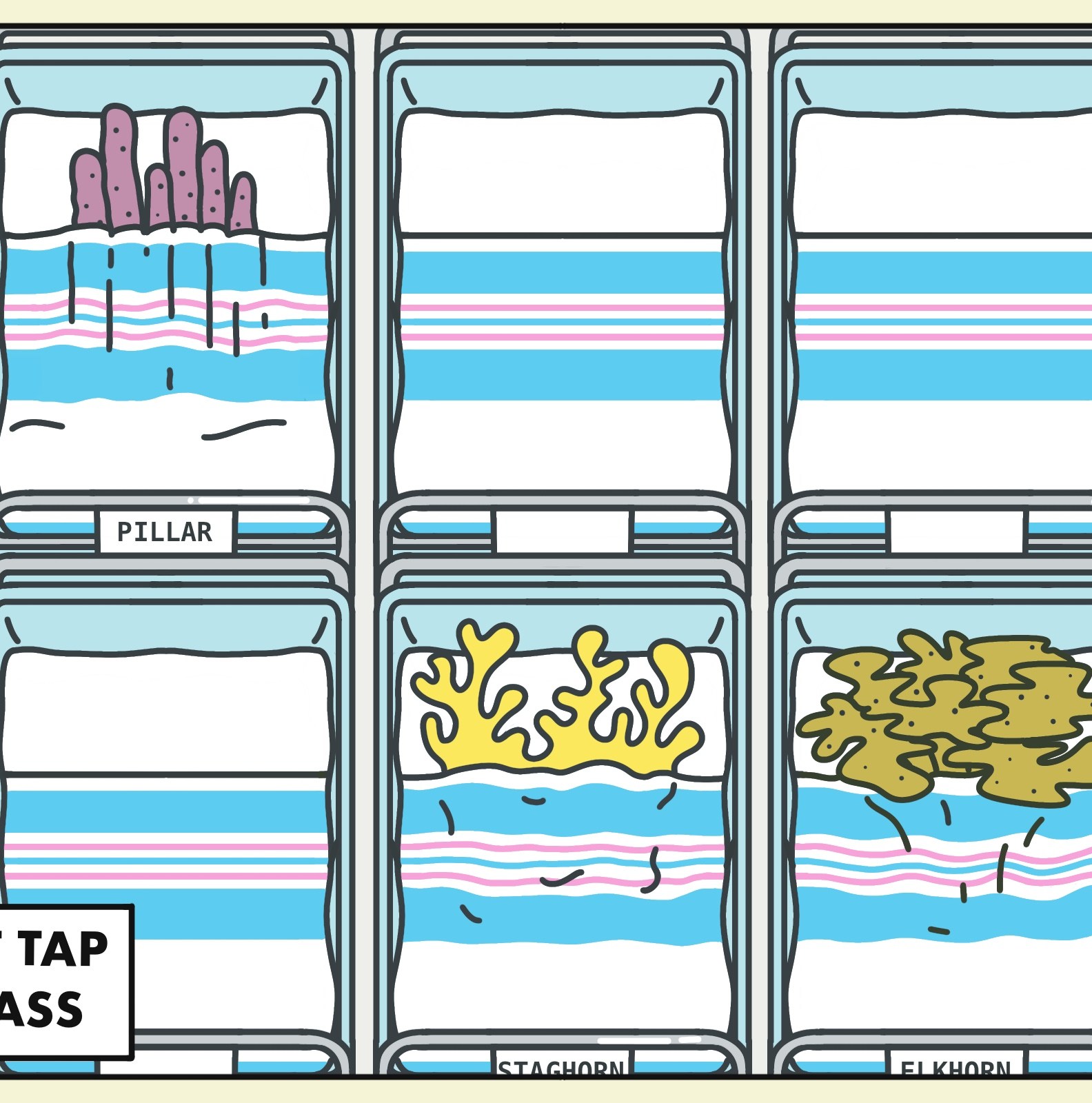 Florida’s iconic corals aren’t having babies anymore. Scientists are alarmed.