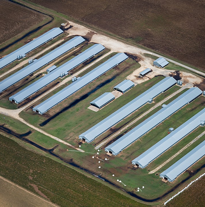 We can see factory farm pollution all the way from space