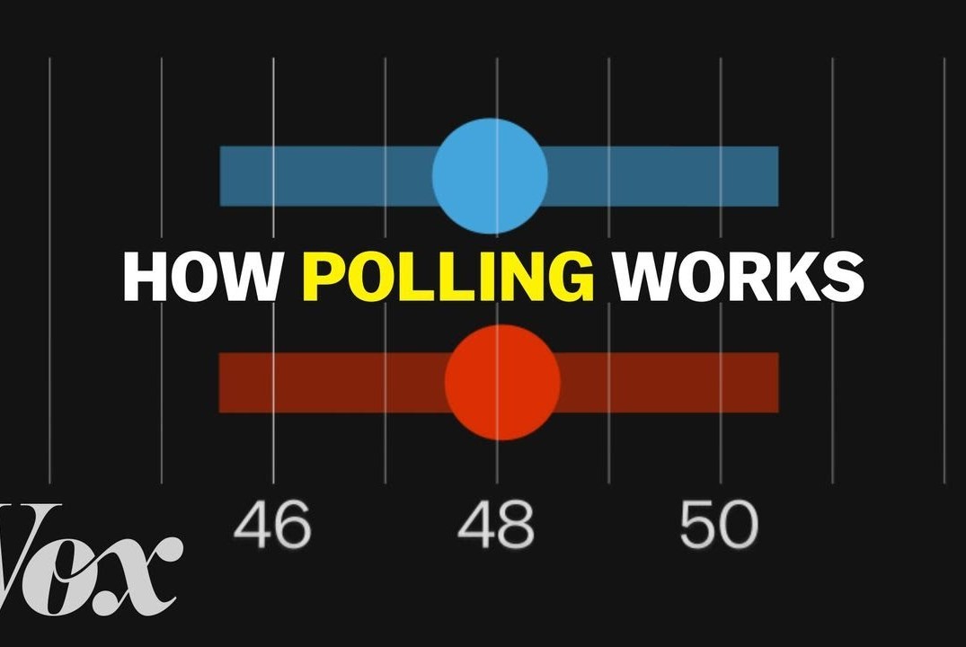 What polls can actually tell us