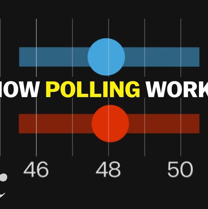 What polls can actually tell us